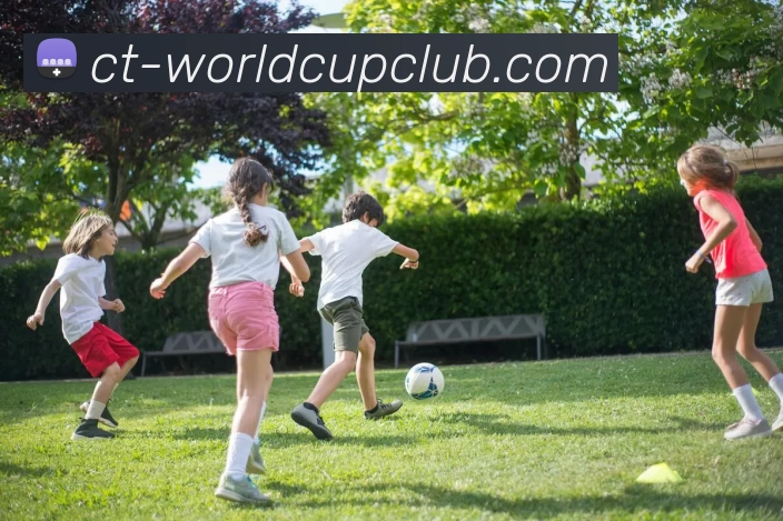 世界杯官方线上服务体系